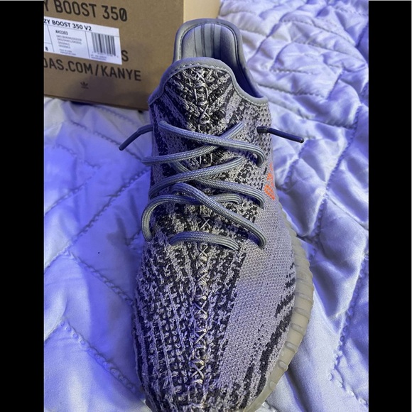 yeezy belugas - Picture 5 of 6